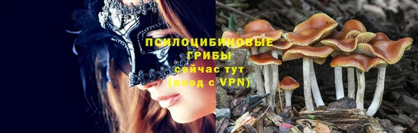 дживик Покачи