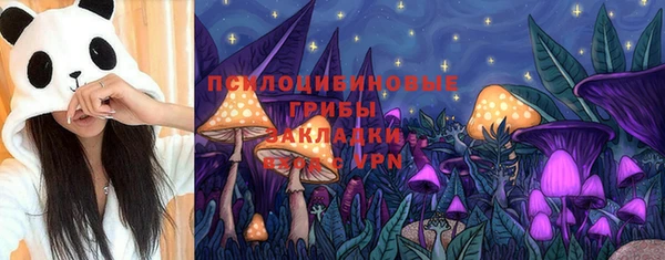 дживик Покачи
