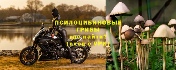 дживик Покачи