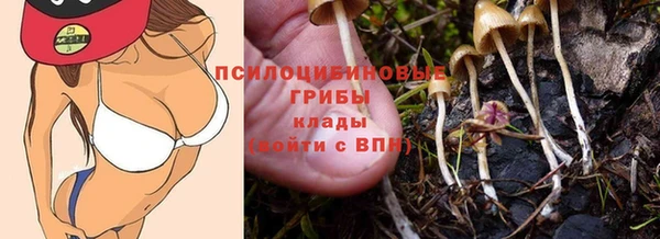 прущая мука Покров