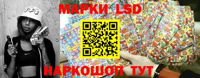 твердый Гатчина