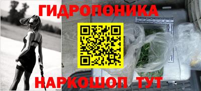 гашик Будённовск