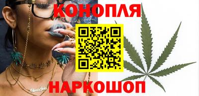 твердый Гатчина