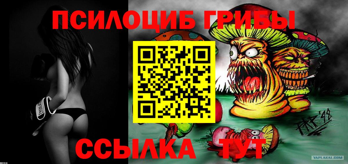 Галлюциногенные грибы Magic Shrooms  Ртищево 